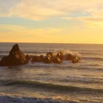 20130800westcoast078