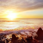 20130800westcoast103