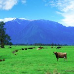 20130800westcoast206