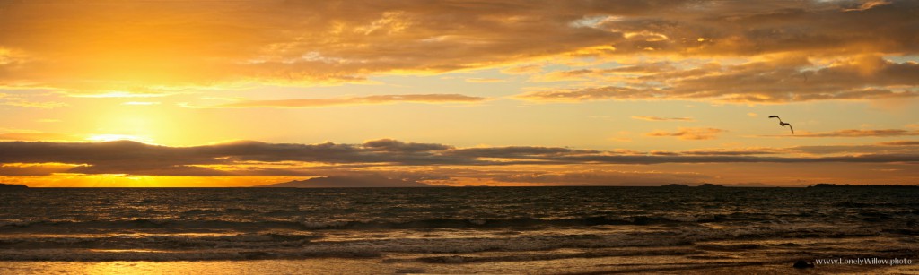 CGWing_2010_07_16_9999_59